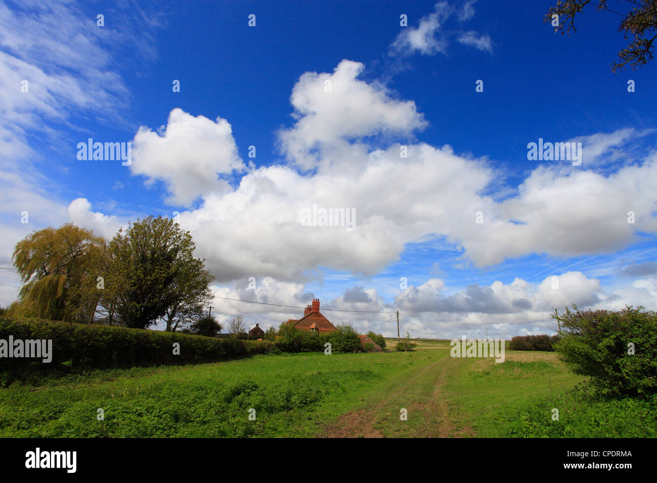 Land-Strecke in einer ländlichen Landschaft am Shernborne in Norfolk, England. Stockfoto