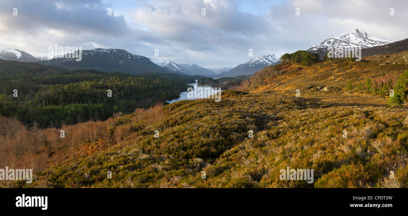 Sonnenaufgang am Glen Affric, Highlands, Schottland, Vereinigtes Königreich Stockfoto