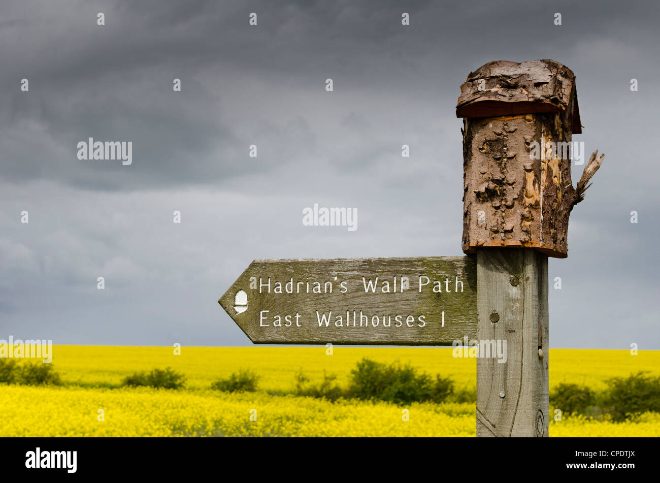 Wanderweg-Wegweiser auf dem Pfad der Hadrianswall in Northumberland Stockfoto