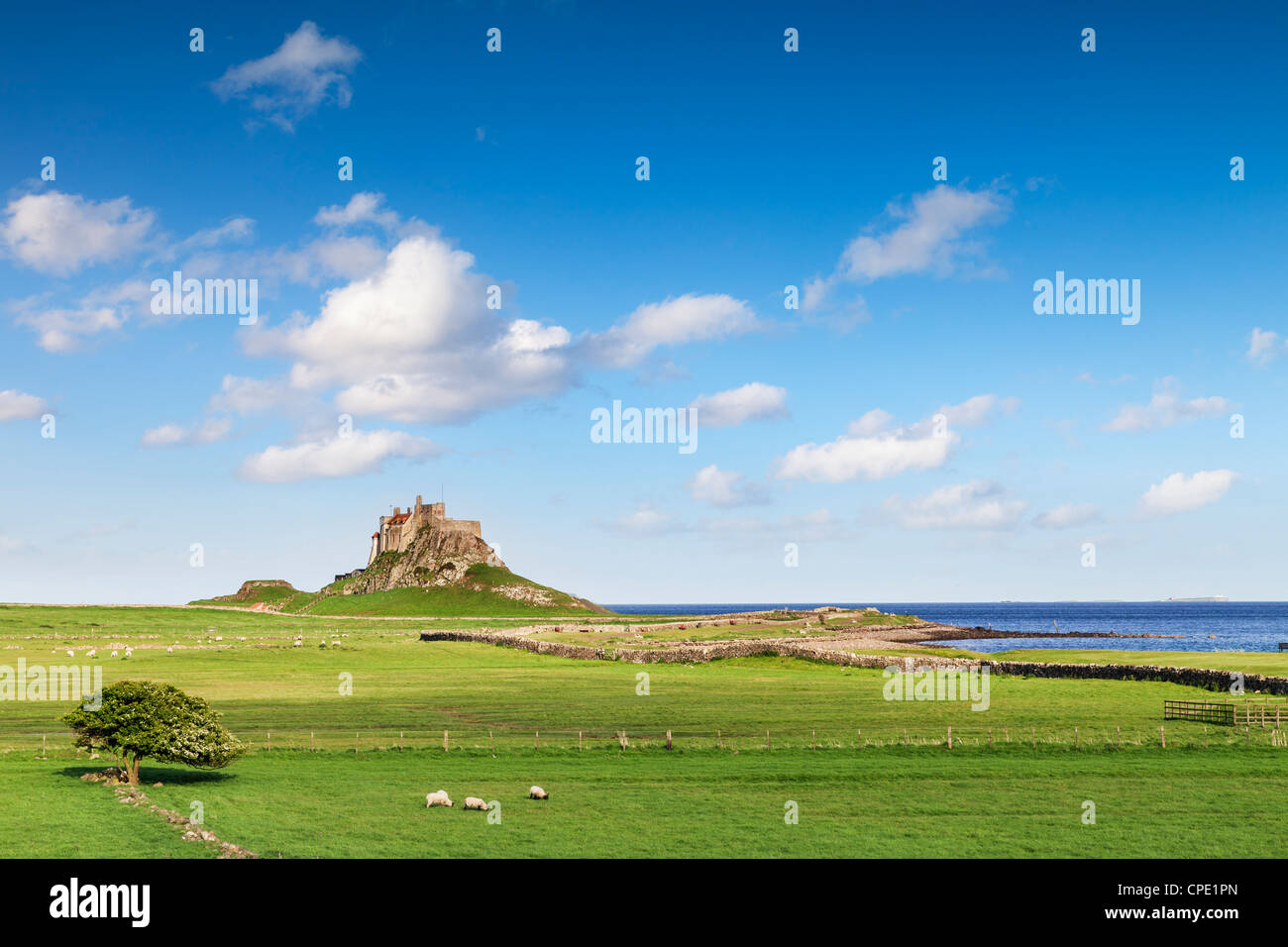 Lindisfarne Schloß auf Holy Island vor der Küste von Northumberland im Nordosten von England. Stockfoto