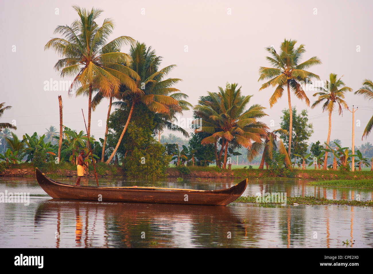 Boot auf den Backwaters, Allepey, Kerala, Indien, Asien Stockfoto