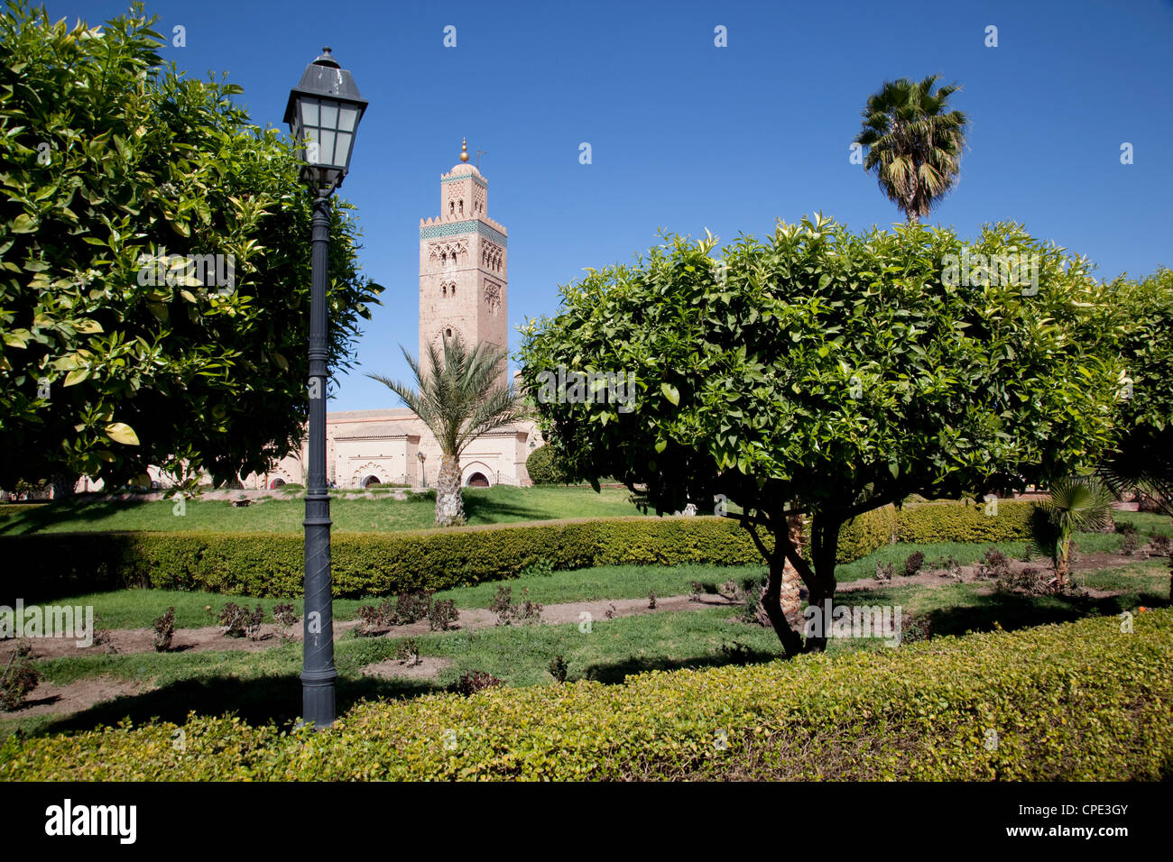 Minarett der Koutoubia-Moschee und Librairie Municipal, Marrakesch, Marokko, Nordafrika, Afrika Stockfoto