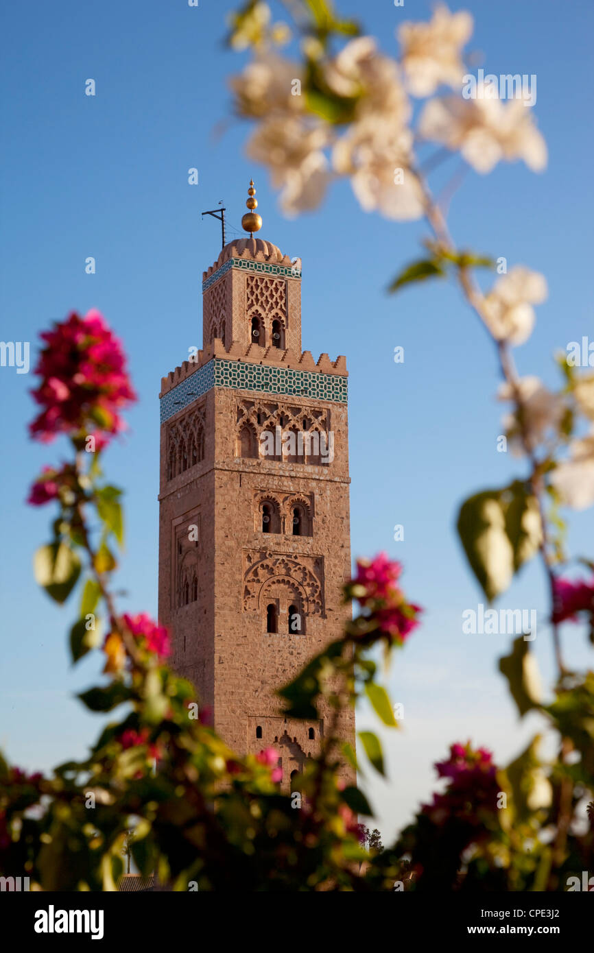Minarett der Koutoubia-Moschee, Marrakesch, Marokko, Nordafrika, Afrika Stockfoto
