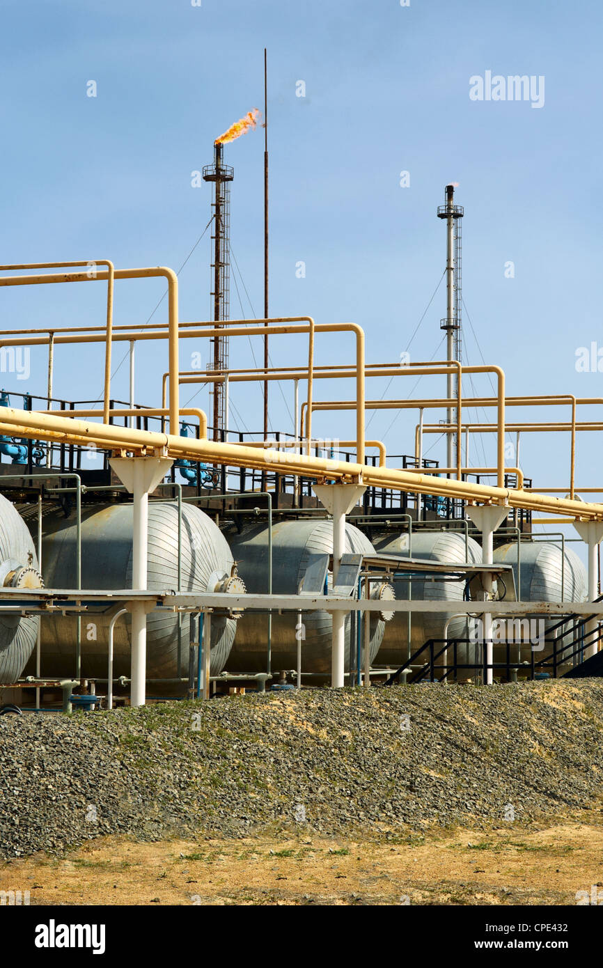 brennen, Energie, Umwelt, Flamme, Fossil, Kraftstoff, Gas, Industrie, Montage, Methan, natürlichen, Petrochemie, macht, processi Stockfoto