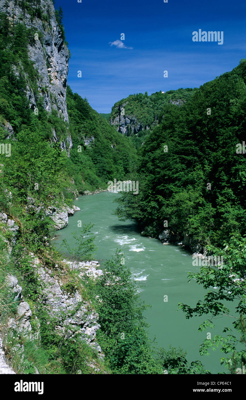 Tara-Schlucht und der Fluss Tara, Tramontana, Montenegro, Europa Stockfoto
