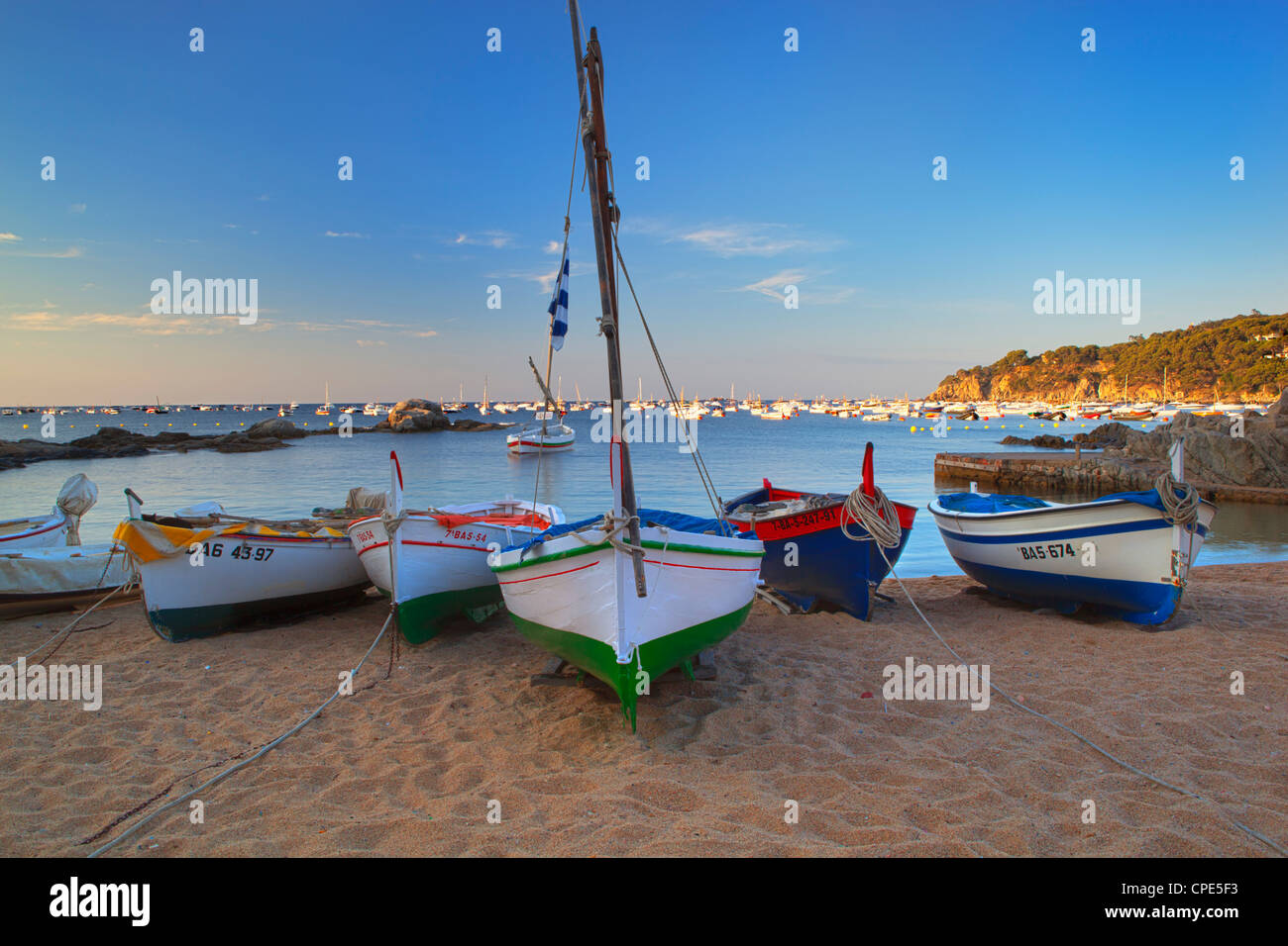Angelboote/Fischerboote in der Morgendämmerung, Calella de Palafrugell, Costa Brava, Katalonien, Spanien, Mittelmeer, Europa Stockfoto