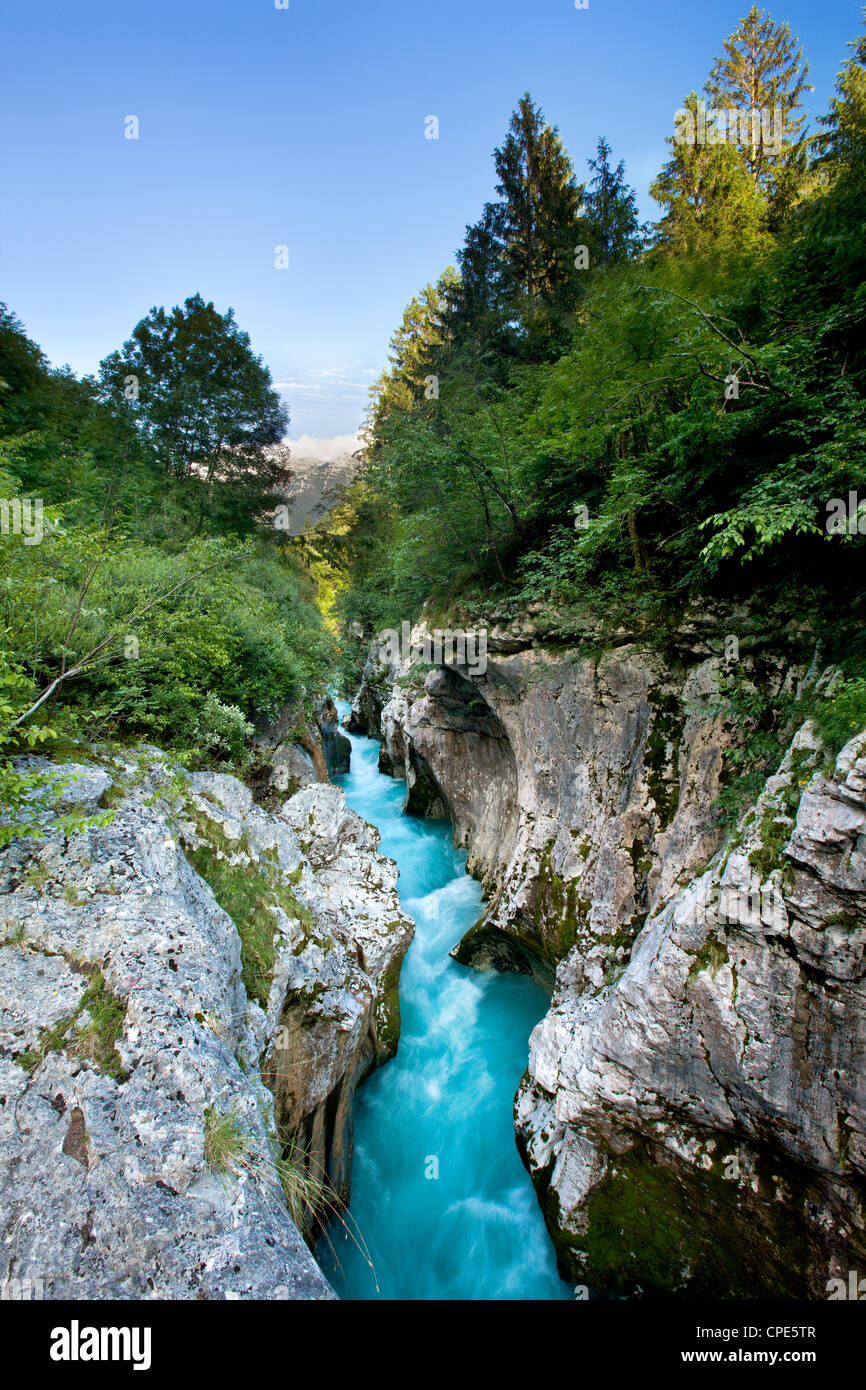 Mit Blick auf die Tiefen der engen Schlucht Velika Korita, Gorenjska, Slowenien, Europa Stockfoto