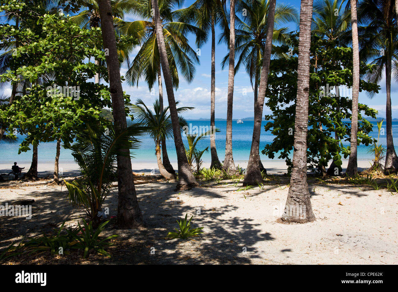 Eine Fernbedienung bedeckt Palmeninsel in der Chirique Provinz, Panama, Mittelamerika Stockfoto