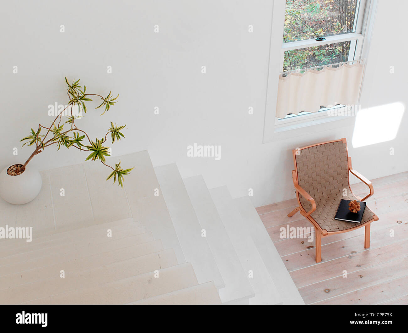 Blumentopf und Stuhl von Fenster platziert Stockfoto