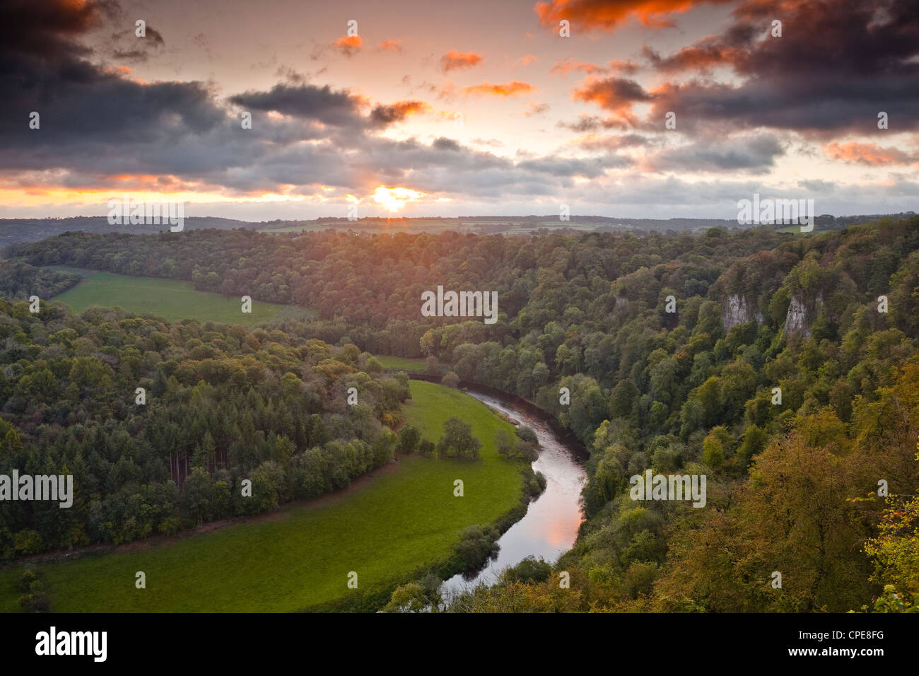 Blick hinunter auf den Fluss Wye von Symonds Yat Rock, Herefordshire, England, Vereinigtes Königreich, Europa Stockfoto