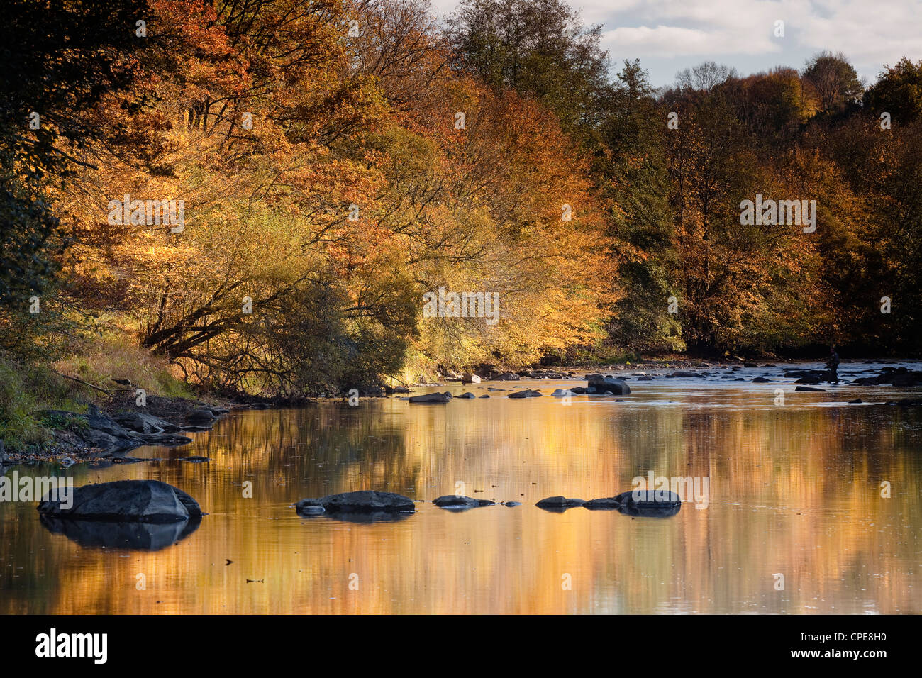 Flusses Creuse, einer bevorzugten Gegend des Flusses der Künstler Claude Monet, Limousin, Frankreich Stockfoto