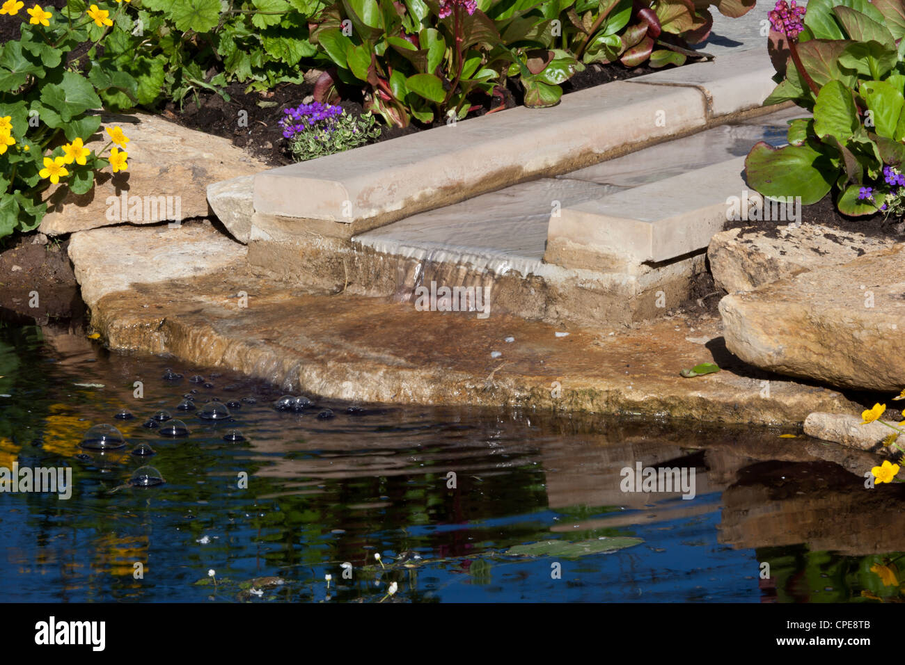 Ein Garten mit Gartenrillwasser aus Steinwasser Randpflanzen, die Großbritannien Pflanzen Stockfoto