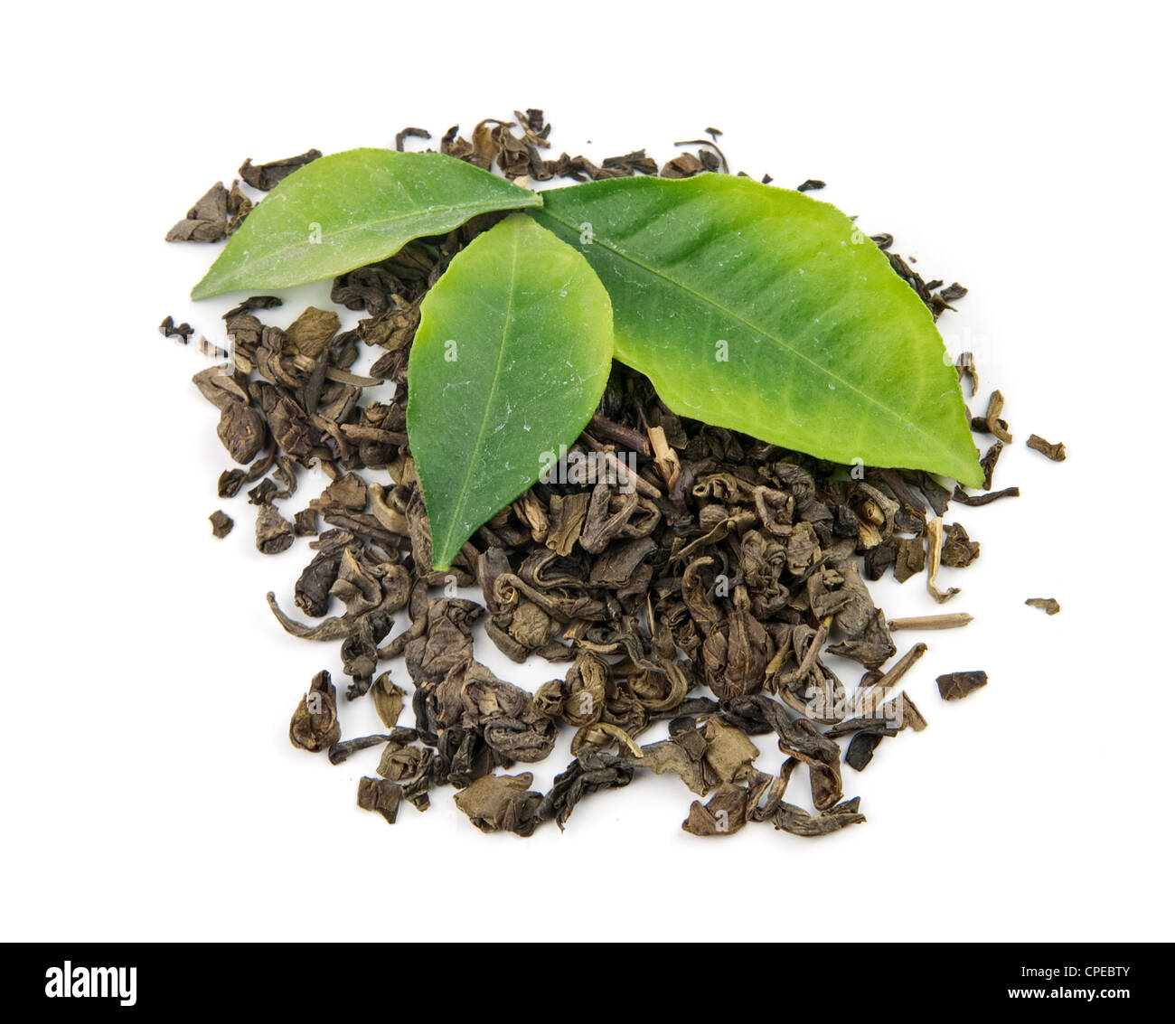 Grüner Tee und Blätter ist isoliert auf weißem Hintergrund Stockfoto
