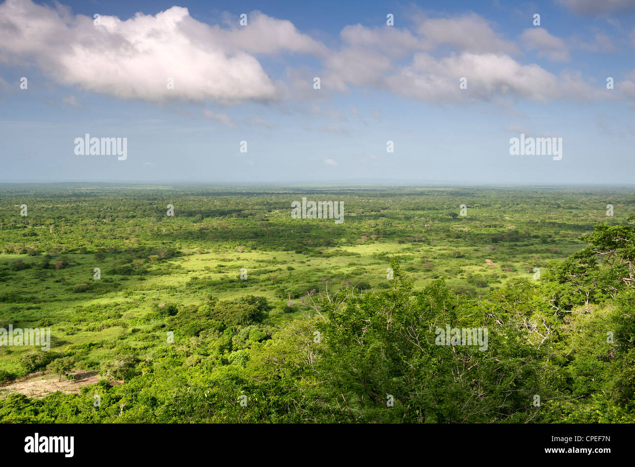 Zeigen Sie in Quirimbas National Park im Norden Mosambiks an. Stockfoto