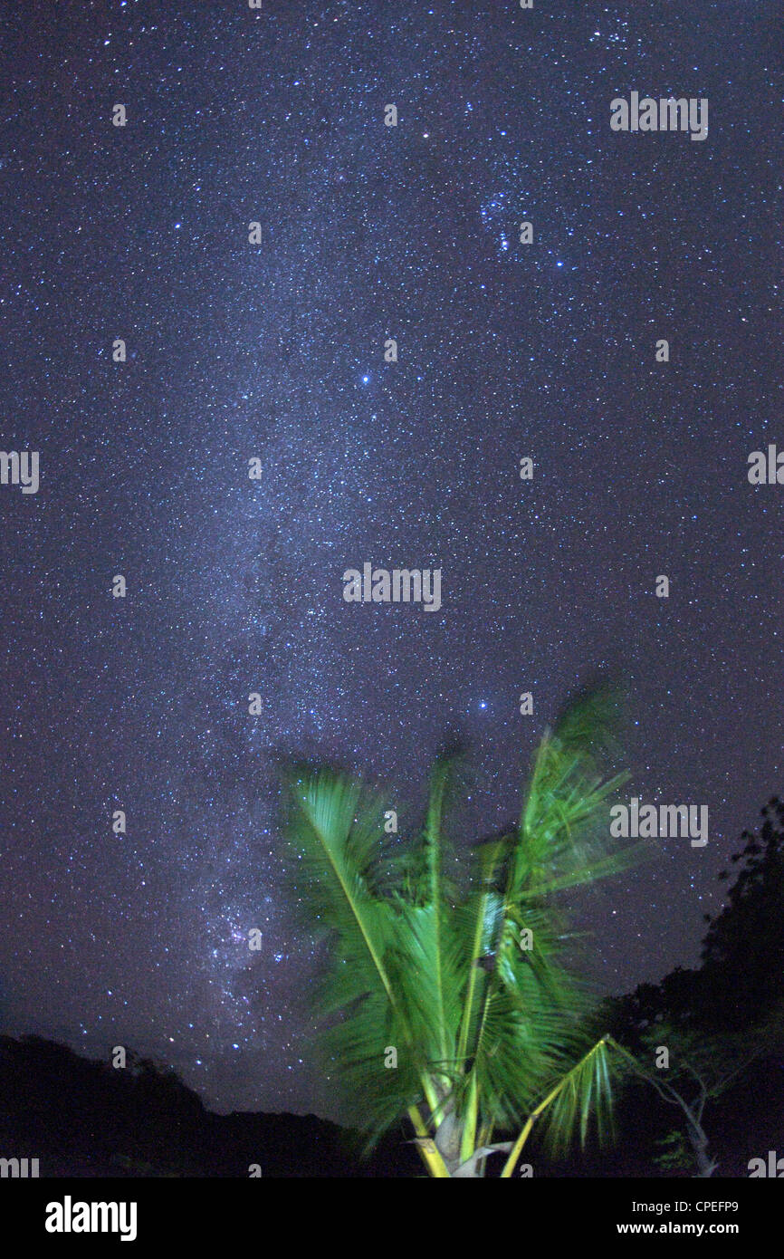 Milchstraße Sterne gesehen von Mogundula Island in Quirimbas Archipels im Norden Mosambiks. Stockfoto