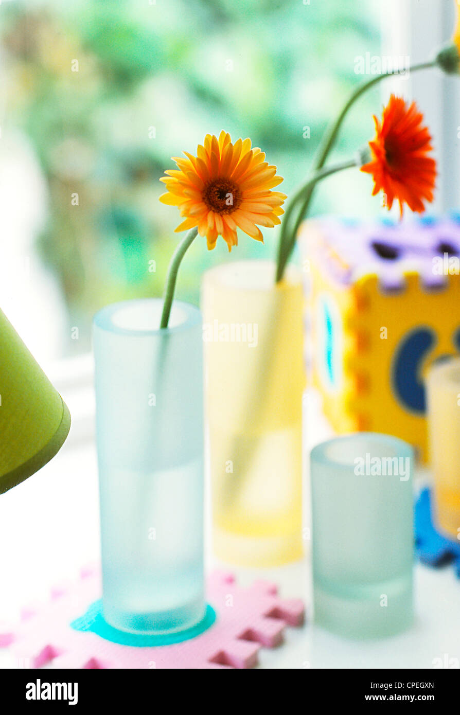 Helle Farbe Daisy Blume In Vase Stockfoto