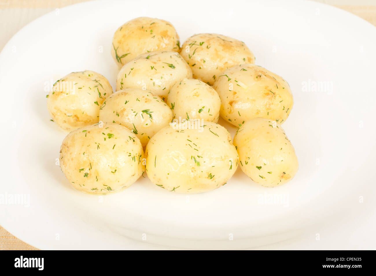 Frühe Kartoffeln gekocht mit Dill closeup Stockfoto