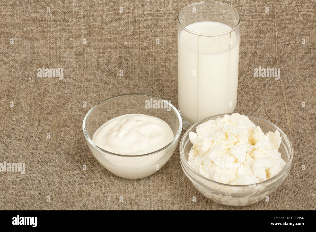 Milchprodukte - Milch, Käse, saurer Sahne in ein Glas Stockfoto