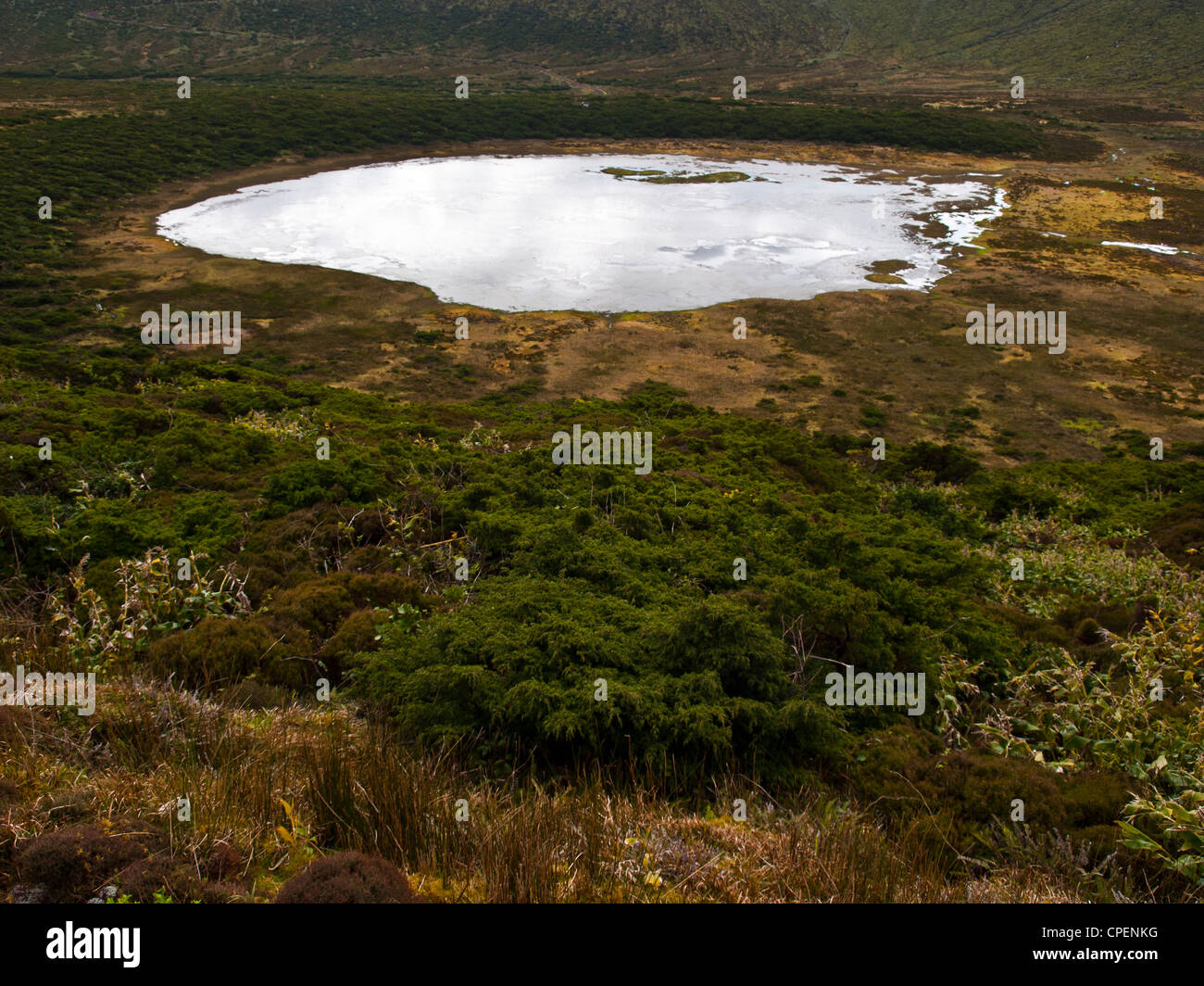 Lagoa Branca auf der Insel Flores, Azoren Stockfoto