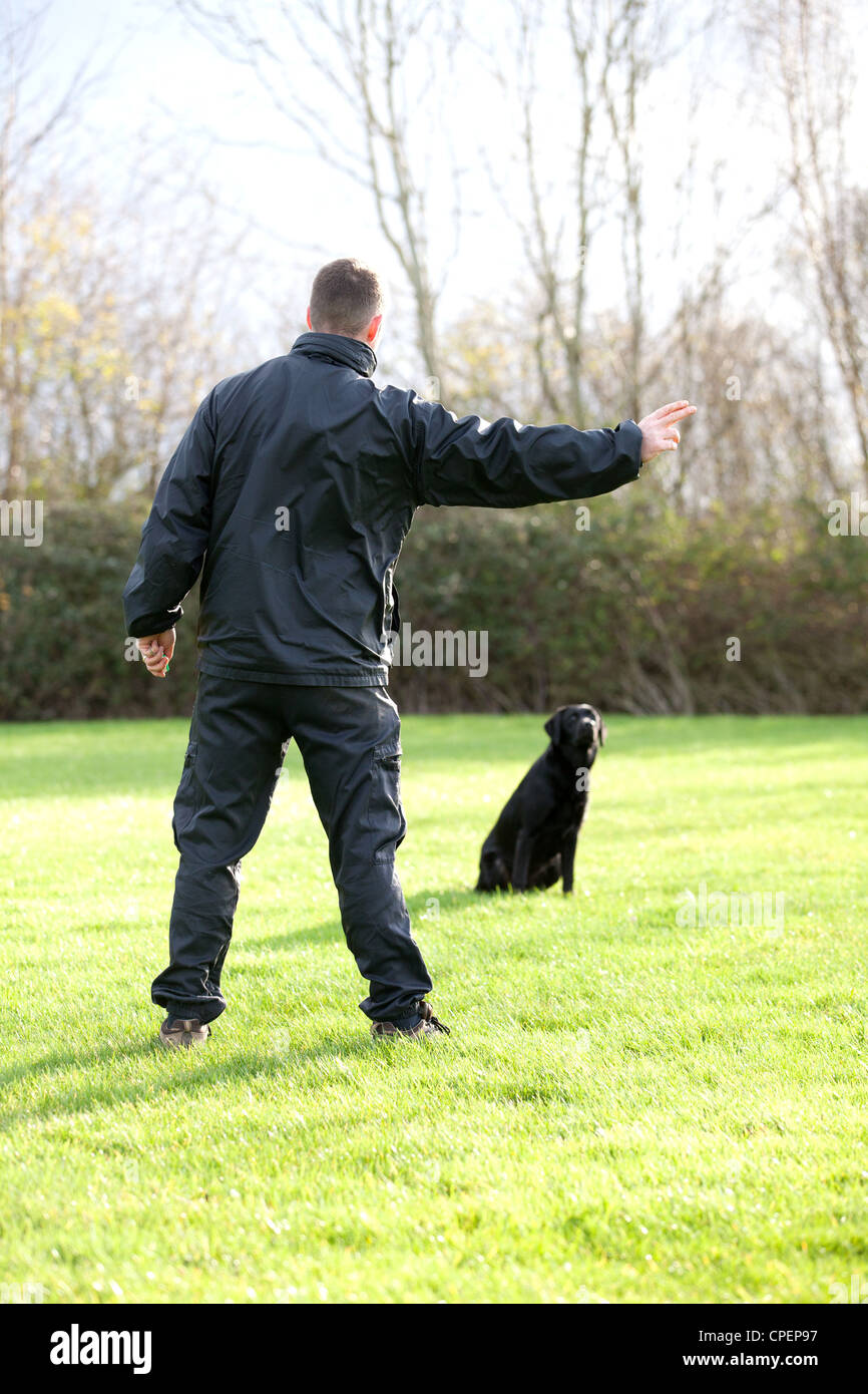 Ein polizeihund Trainer Ausbildung einen neuen Hund zu ihm und bat ihn, ein Element in die Ferne geworfen zu holen Stockfoto