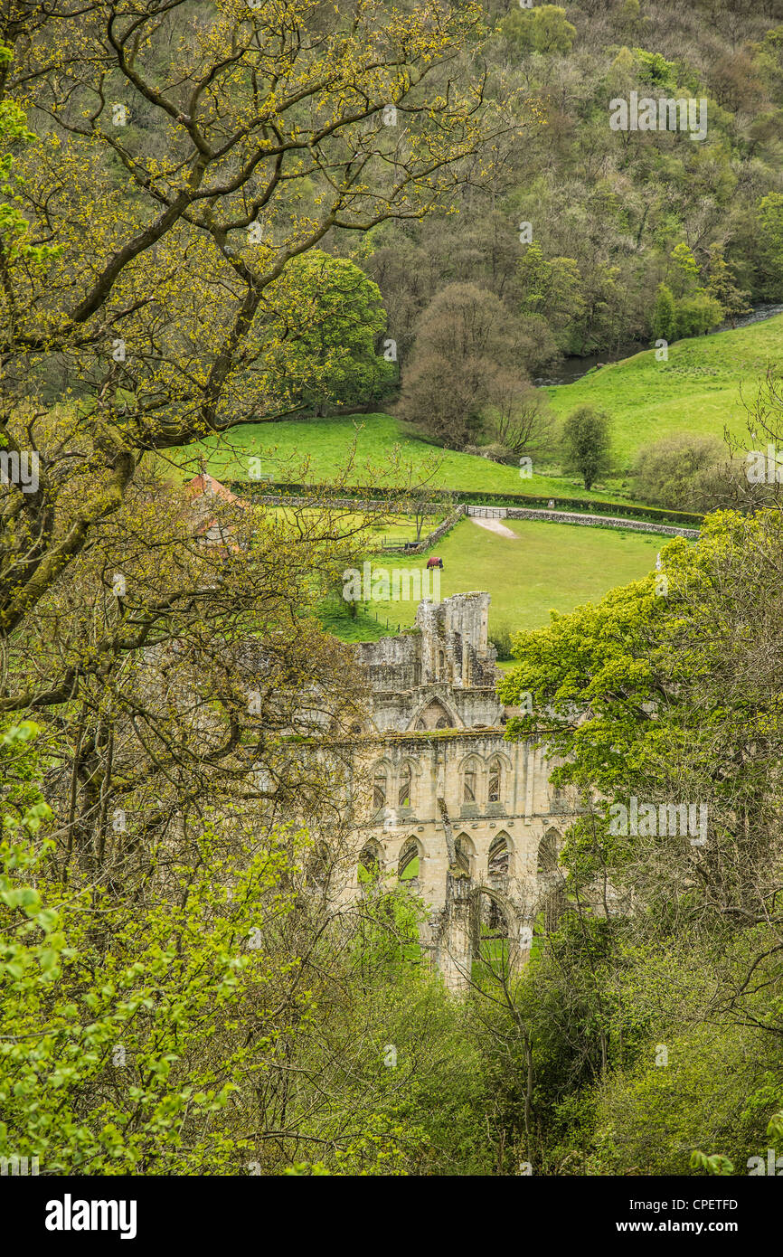 Rievaulx Abbey, Yorkshire, England - mittelalterlichen klösterlichen Abtei berühmt für seine Umgebung. Stockfoto