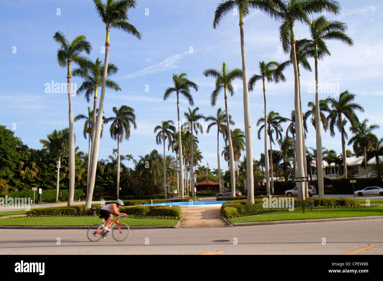 Boca Raton Florida, Palm Beach County, East Camino Real, Verkehrskreis, Palmen, Radfahrer, Mann Männer Erwachsene Erwachsene Erwachsene, Besucher reisen Reisetour Stockfoto