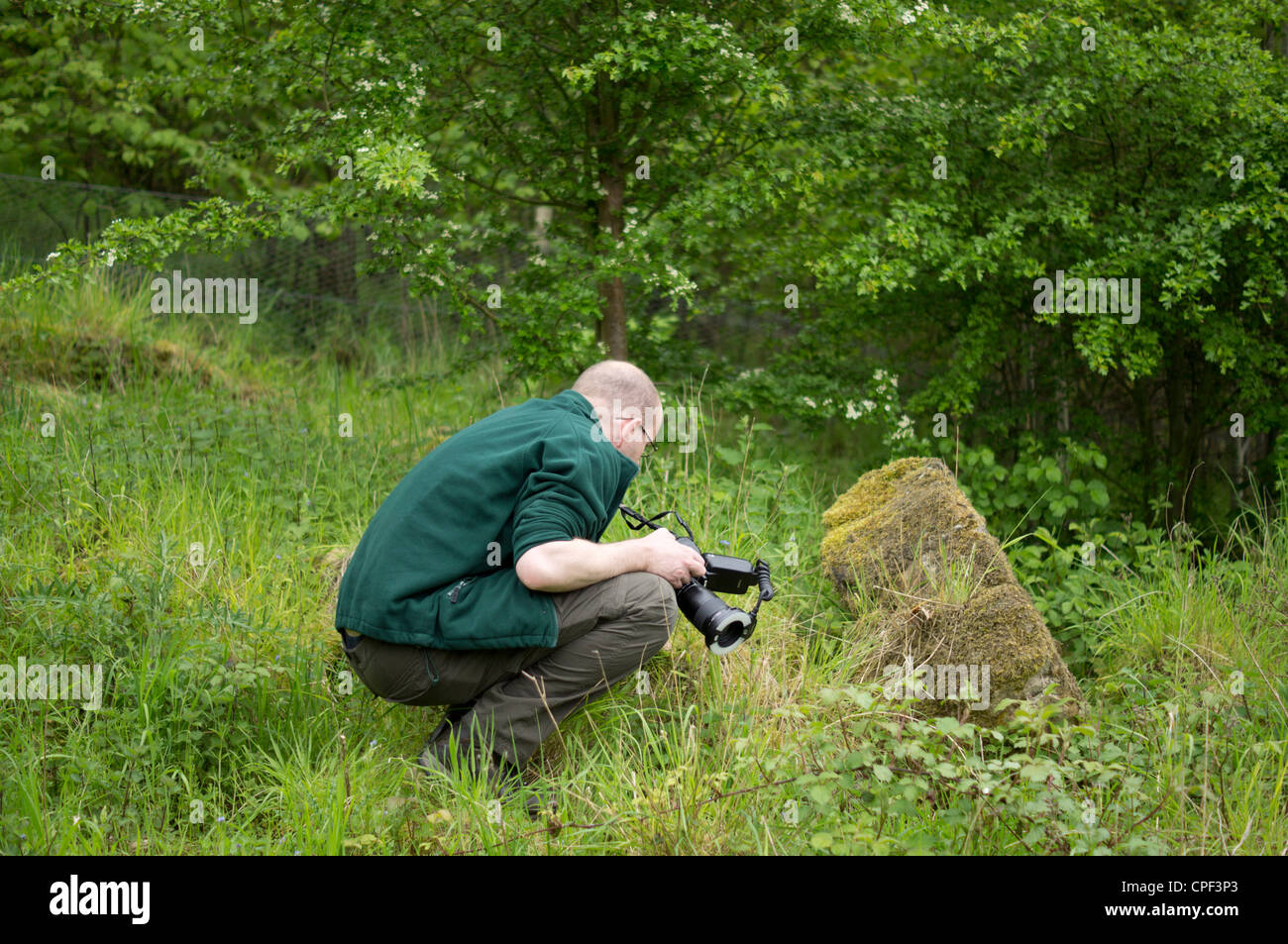 Natur-Fotografen schießen Makro Stockfoto