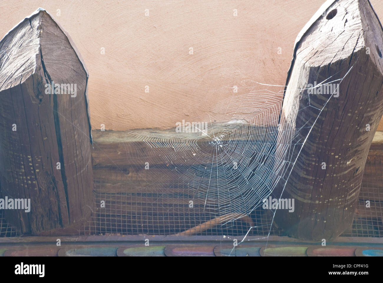 Ein Spinnennetz ist eingebettet zwischen zwei Vigas außerhalb eines Museums in Santa Fe. Stockfoto