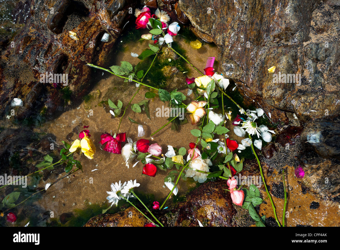 Blumen ins Meer geworfen, während der Feier der Yemanjá, der Göttin des Meeres, in Salvador, Bahia, Brasilien. Stockfoto