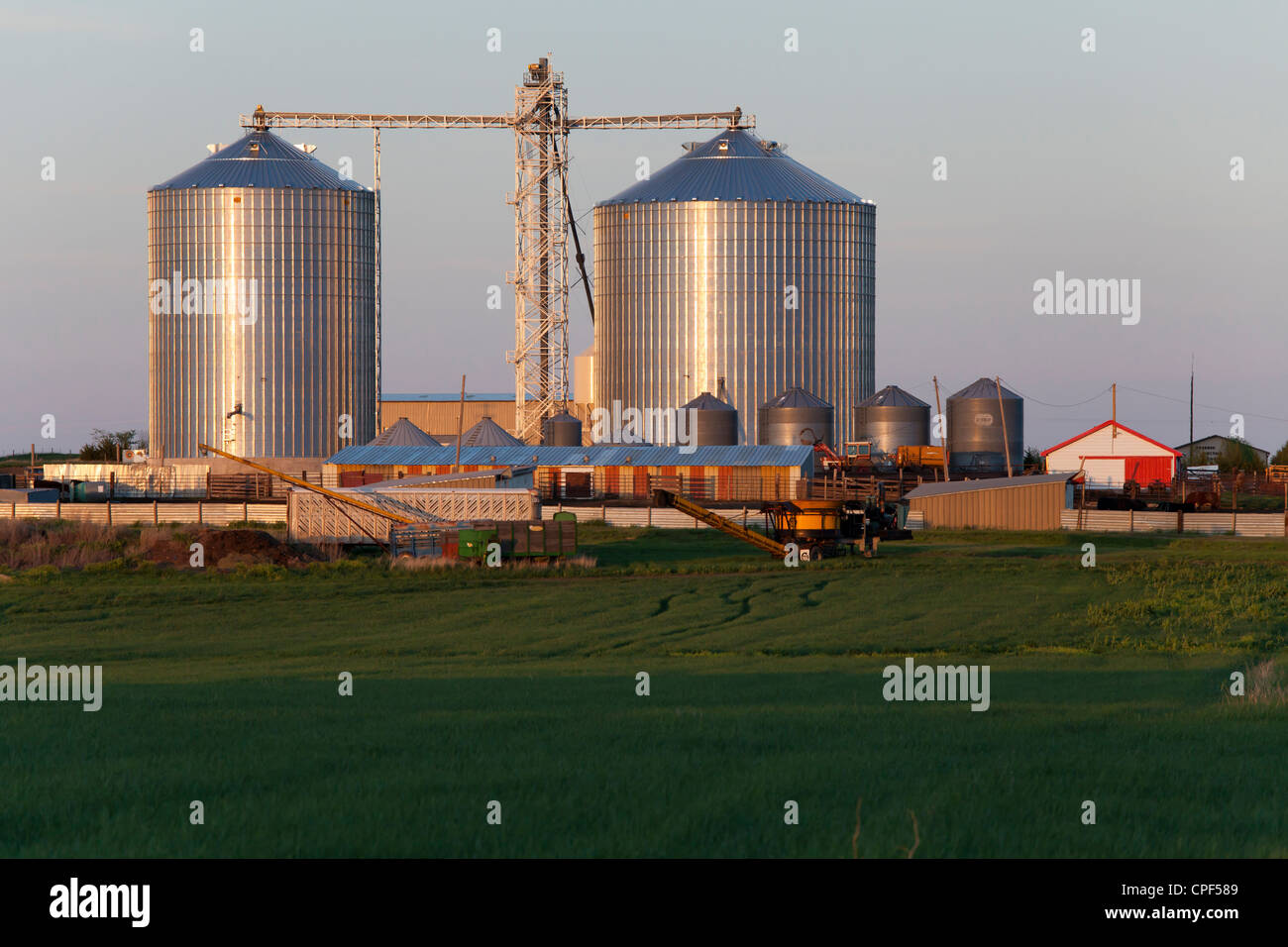 Mais und Weizen Lagerplätze, Weizen Feld, Gewinner, South Dakota Stockfoto