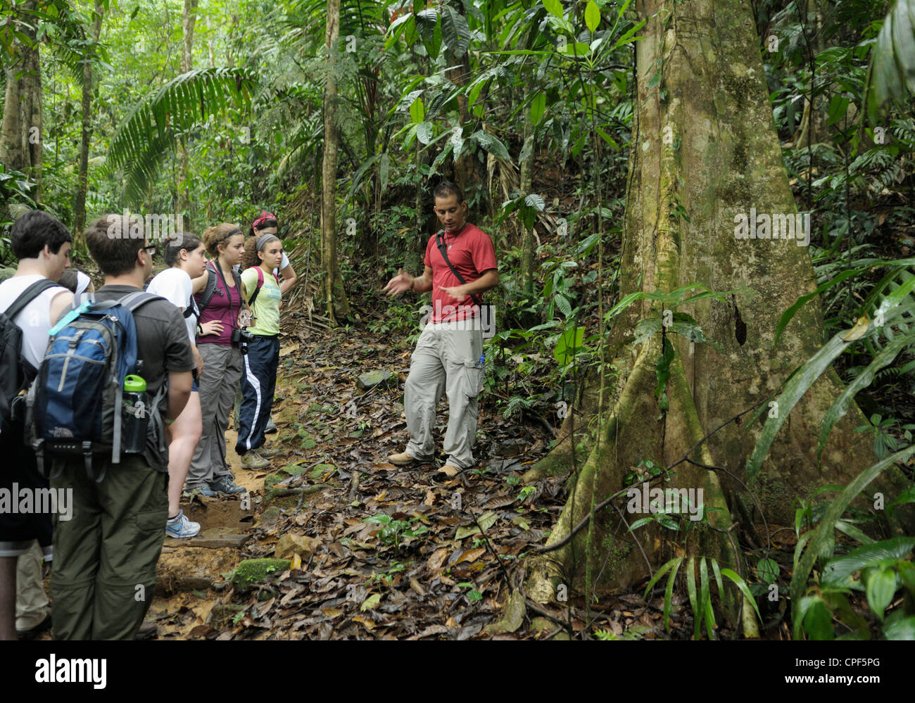 Gruppe von Jugendlichen Ökotouristen auf einem Regenwald Ökologie Spaziergang, Selva Verde, Costa Rica. Ihr Führer ist ein Costa-ricanischer Naturforscher Stockfoto