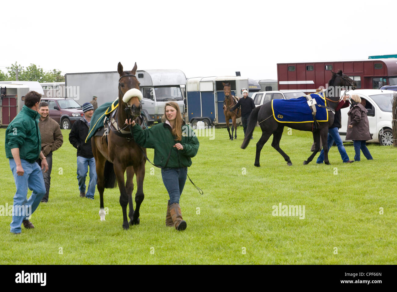 Race Horse aufbrechen des sammeln Rings für den Start ein Hindernislauf Stockfoto