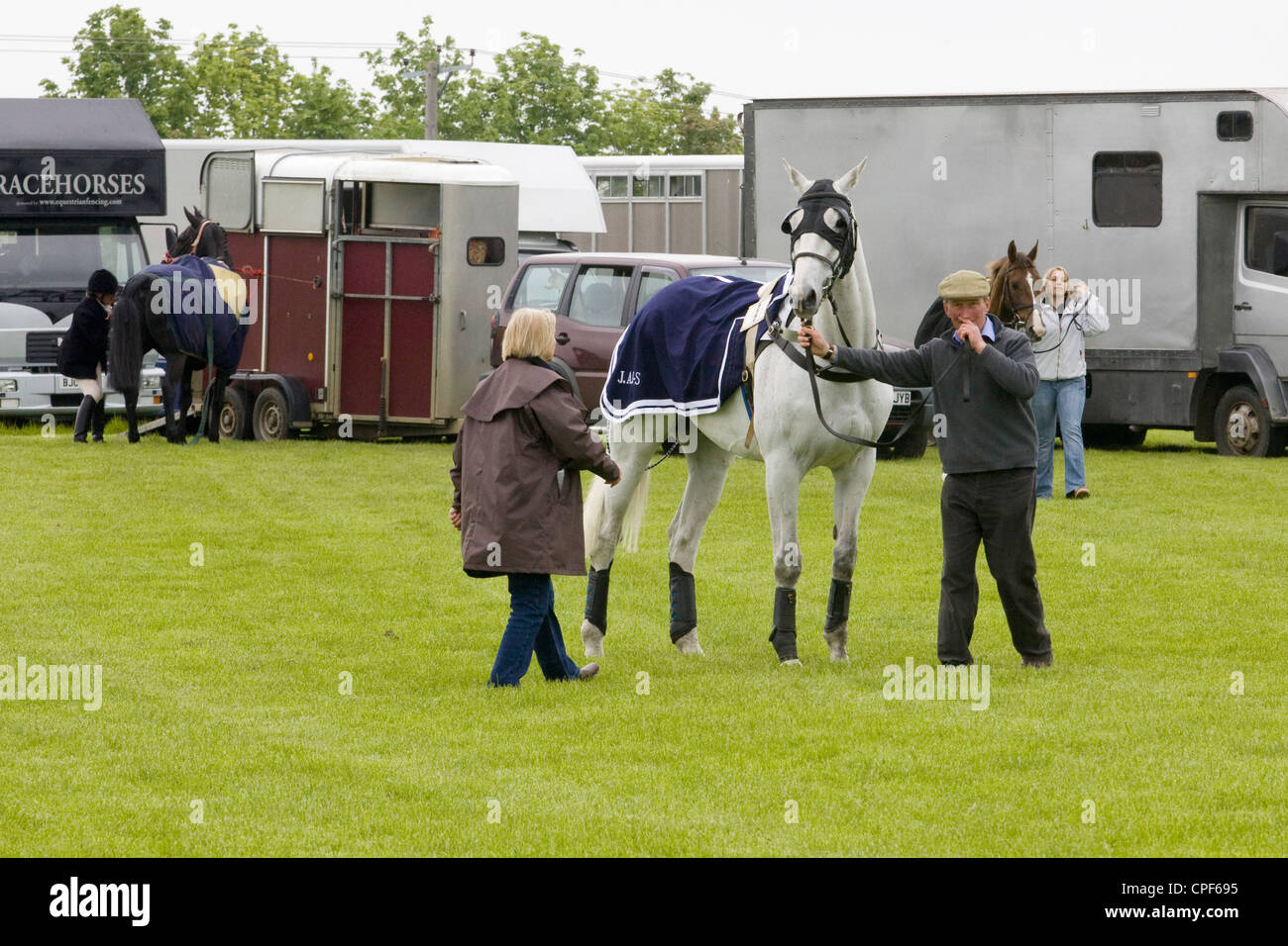 Race Horse aufbrechen des sammeln Rings für den Start ein Hindernislauf Stockfoto