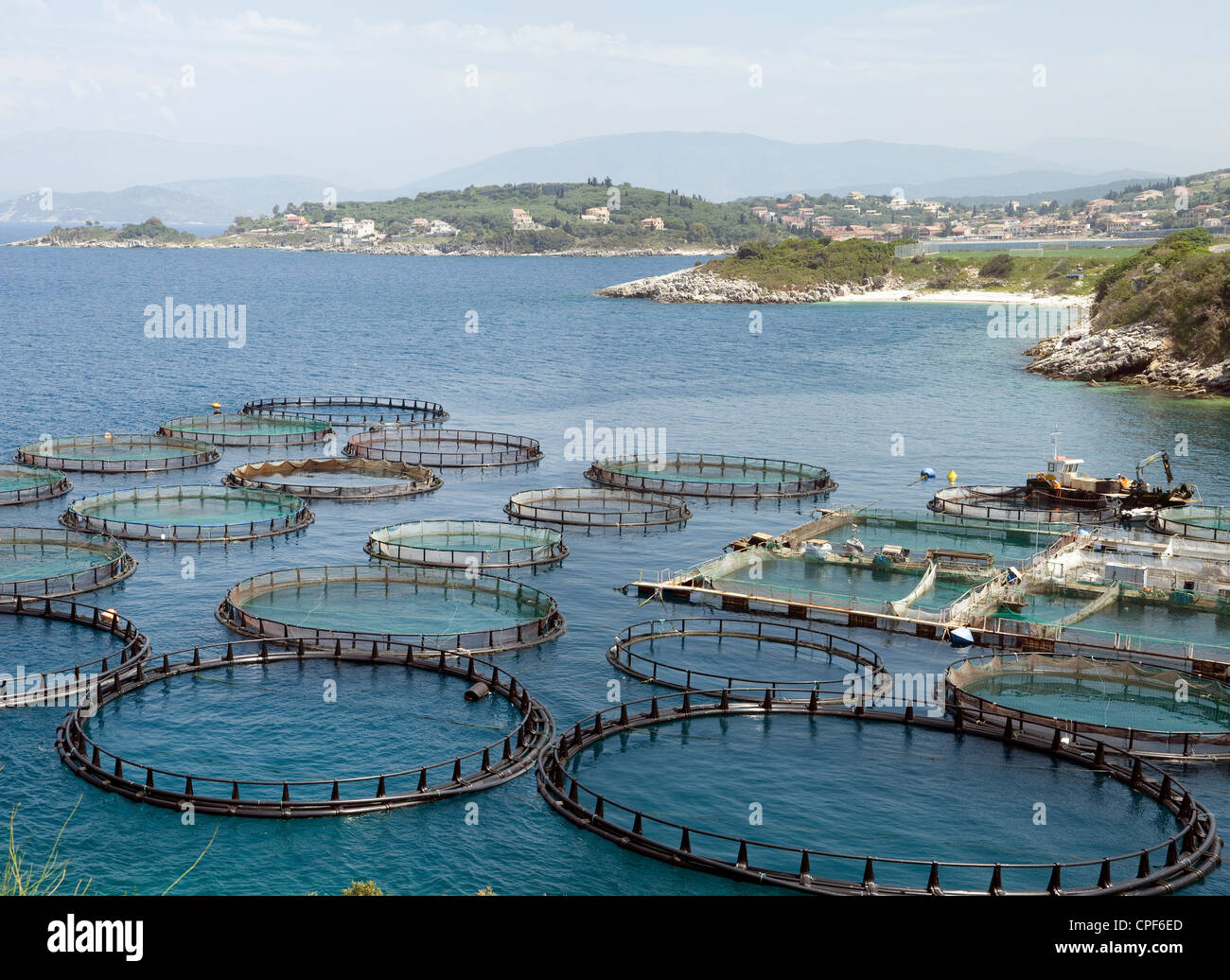 Fischzucht, in der Nähe von Kassiopi, Korfu, Griechenland Stockfoto
