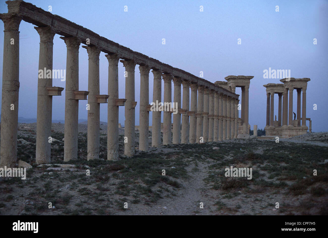 Aus palmira Fotos und Bildmaterial in hoher Auflösung Alamy