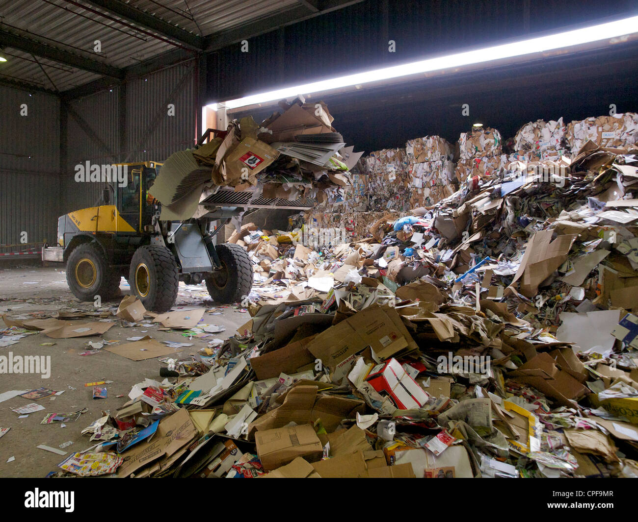 Altes Papier Schaufeln, die in neue Papier bei einer Kartonfabrik in Groningen in den Niederlanden zurückgeführt werden Stockfoto