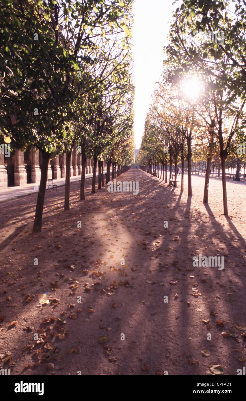 Die Gärten des Palais Royal Stockfoto