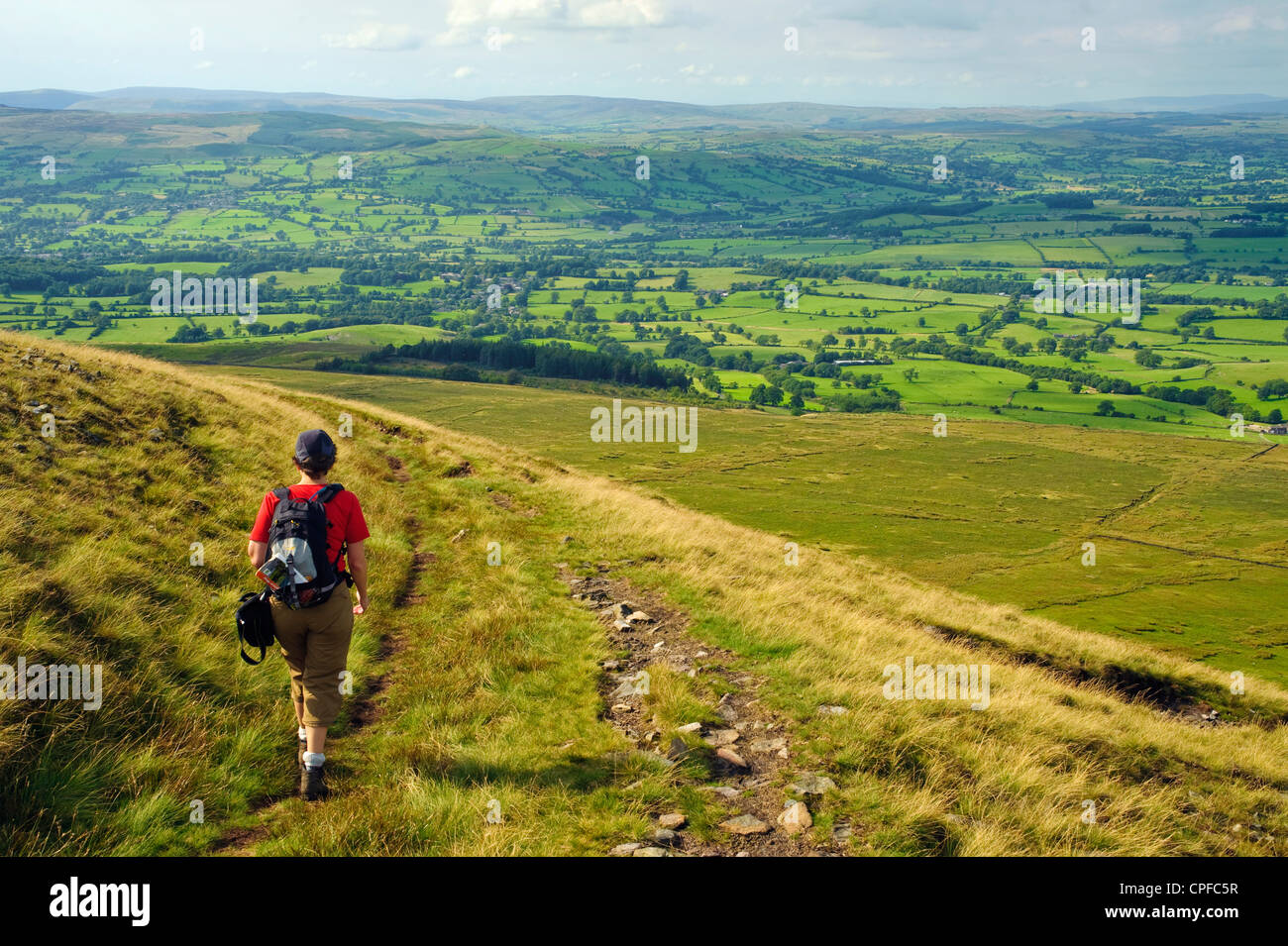 Walker absteigend von Pendle Hill, mit Blick auf die Ribble Valley Stockfoto