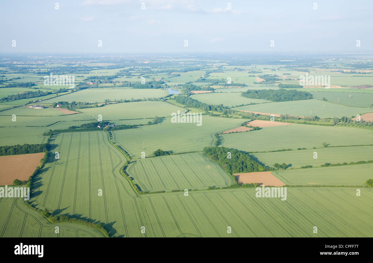 Blick über den frühen Sommer grüne Felder aus Hot Air Balloon; East Anglia; Großbritannien; Stockfoto