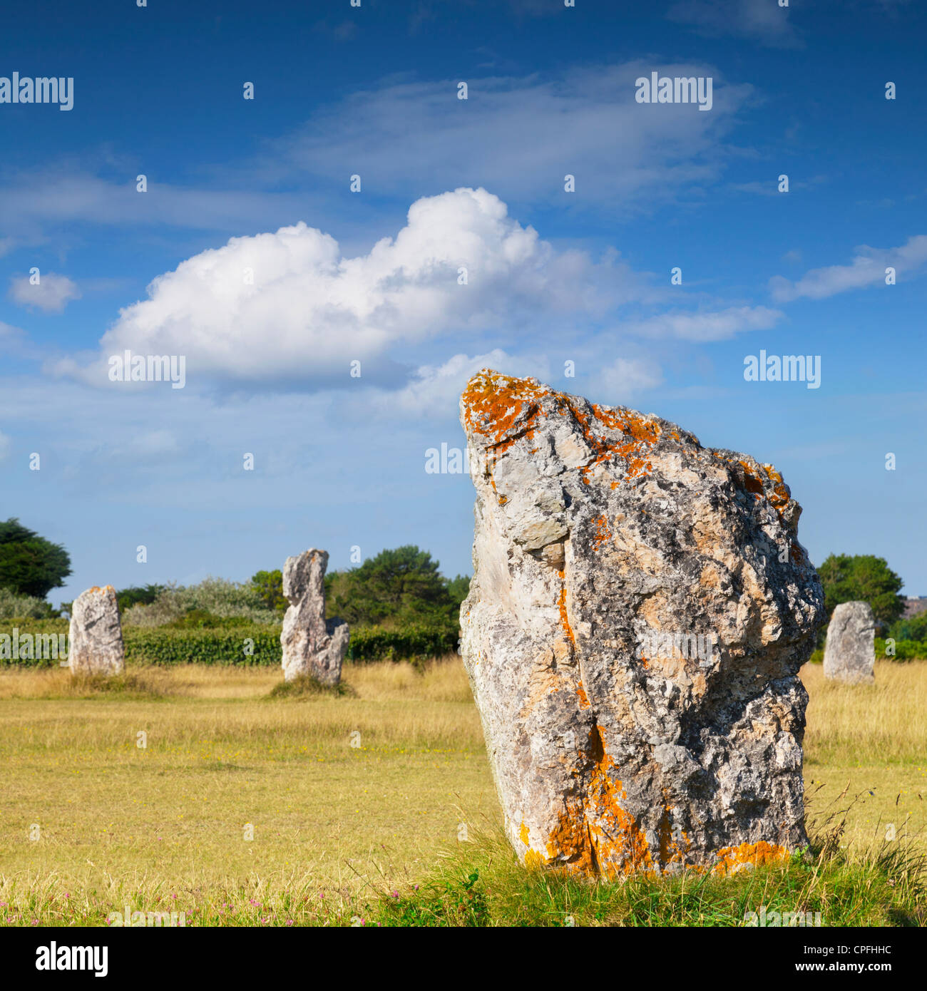 Steinen in den Lagatjar Ausrichtungen bei Camaret-Sur-Mer Stockfoto