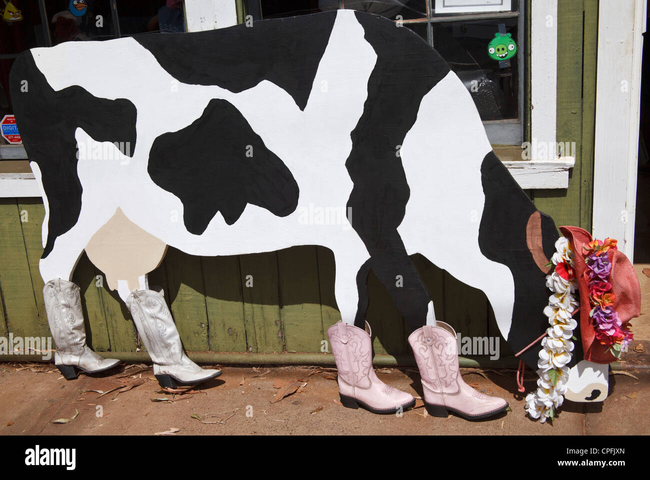 Kuh-Display mit Cowboy-Stiefel, Lei und Hut vor Geschäft an der Baldwin Avenue in Makawao, Maui Stockfoto