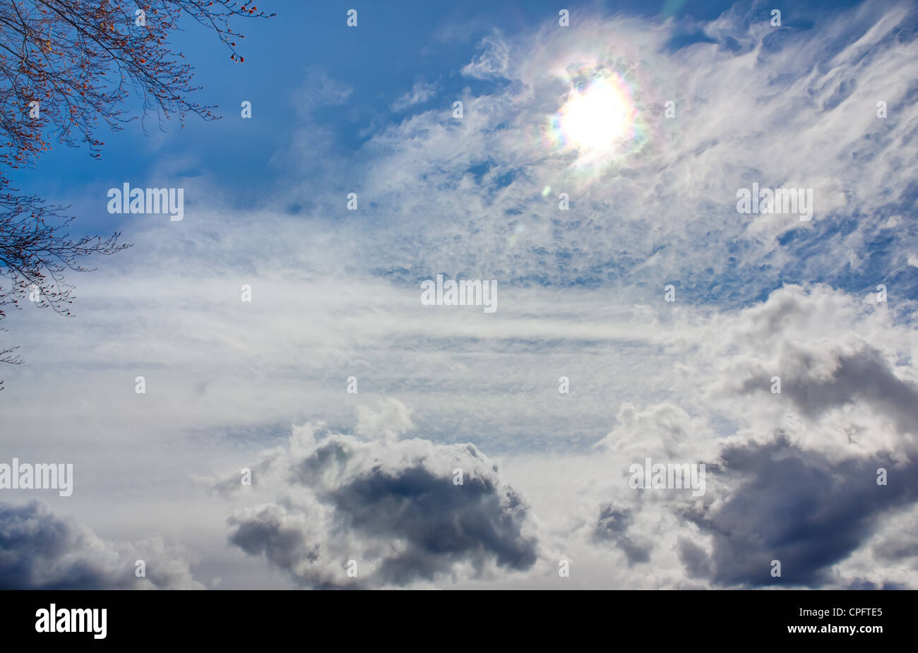 Ein Bild des Himmels, mit verschiedene Arten von Wolken und die Sonne mit einem Baum in der Ecke. Stockfoto