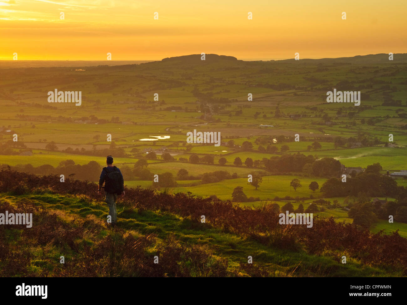 Mann zu Fuß auf Jeffrey Hill auf Longridge fiel Lancashire England mit der laute Tal und Beacon zurückgefallen Stockfoto