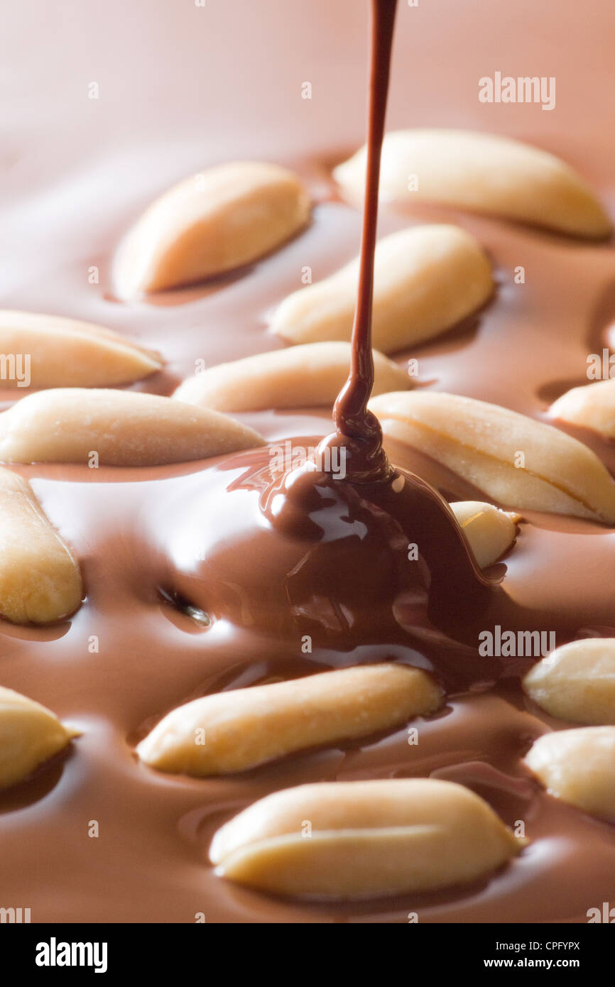 Nüssen und Schokolade Stockfoto