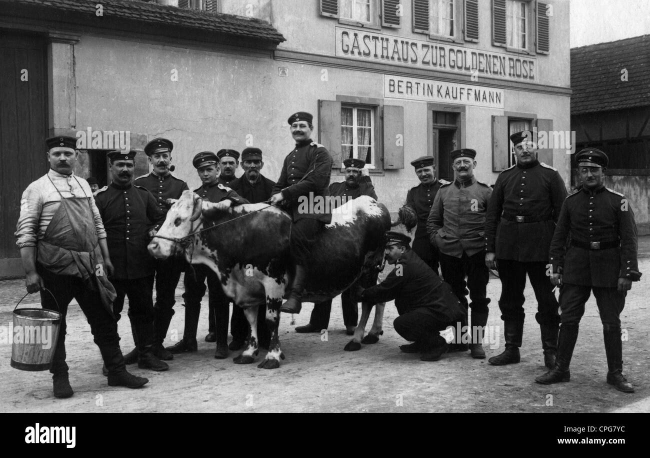 Militär, Deutschland, Gruppe von Soldaten mit einer Kuh vor einem Restaurant, um 1910, Zusatz-Rechte-Clearences-nicht vorhanden Stockfoto