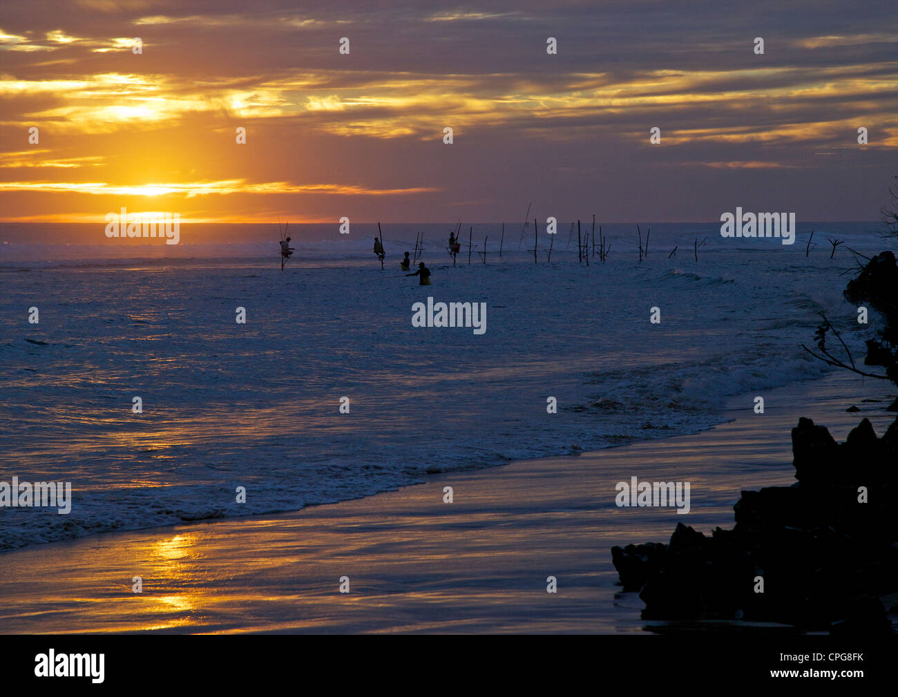 Stelzenfischer in Weligama, South Coast, Sri Lanka, Asien Stockfoto