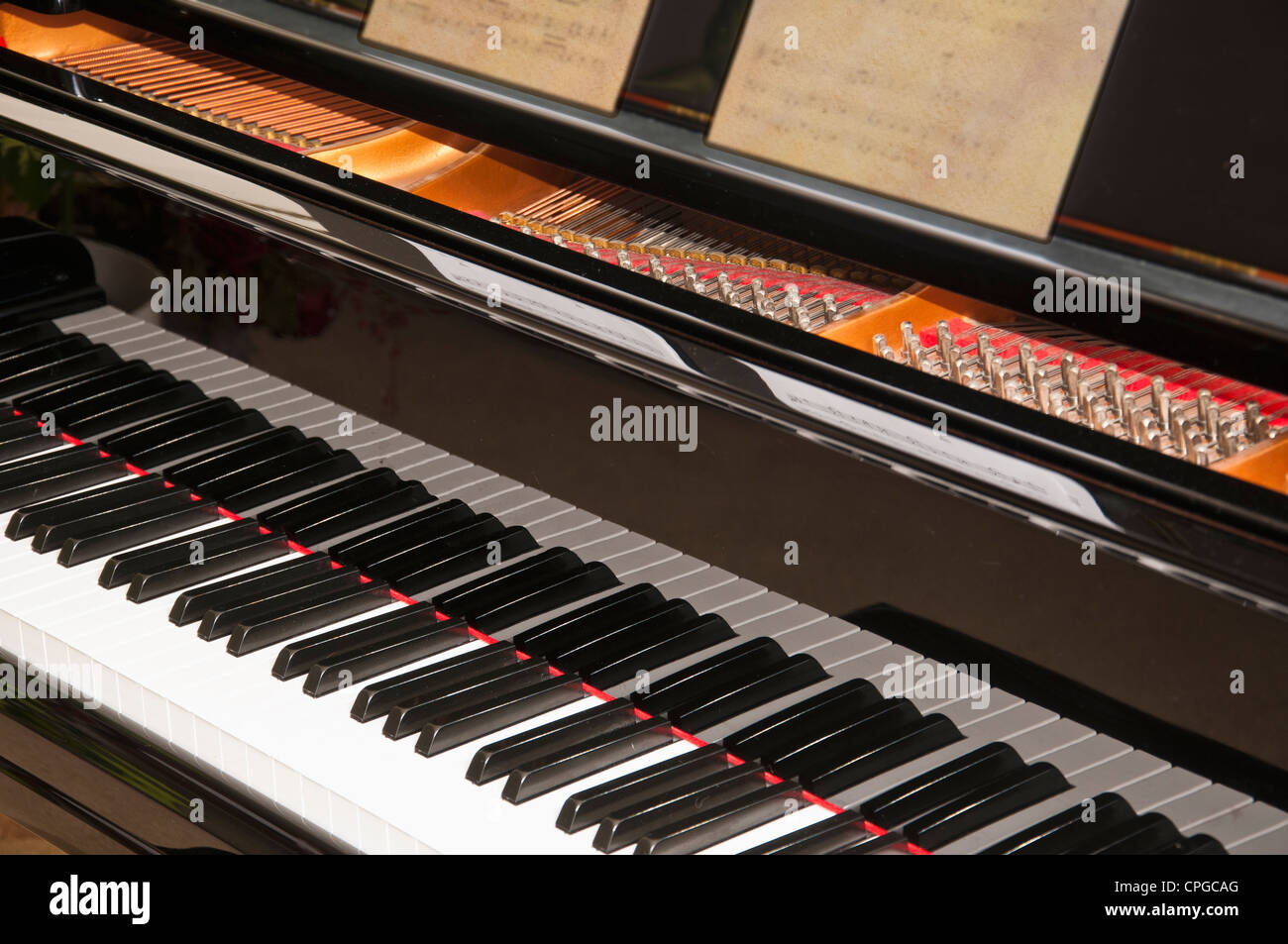 Nahaufnahme einer Grand Piano-Tastatur zeigt einige Tasten und einige tuning Heringe. Stockfoto