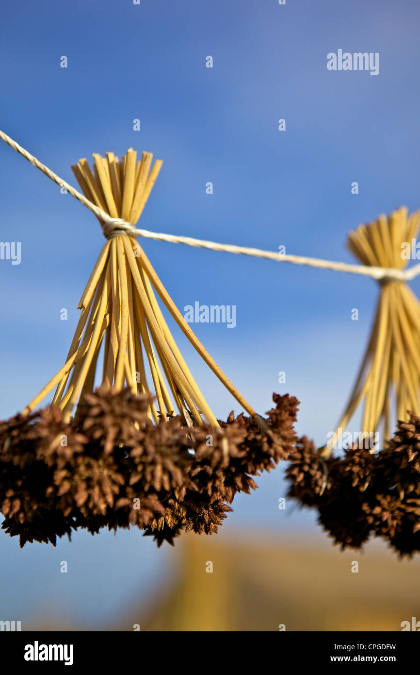 See titicaca peru puno palapaja islas flotantes -Fotos und ...
