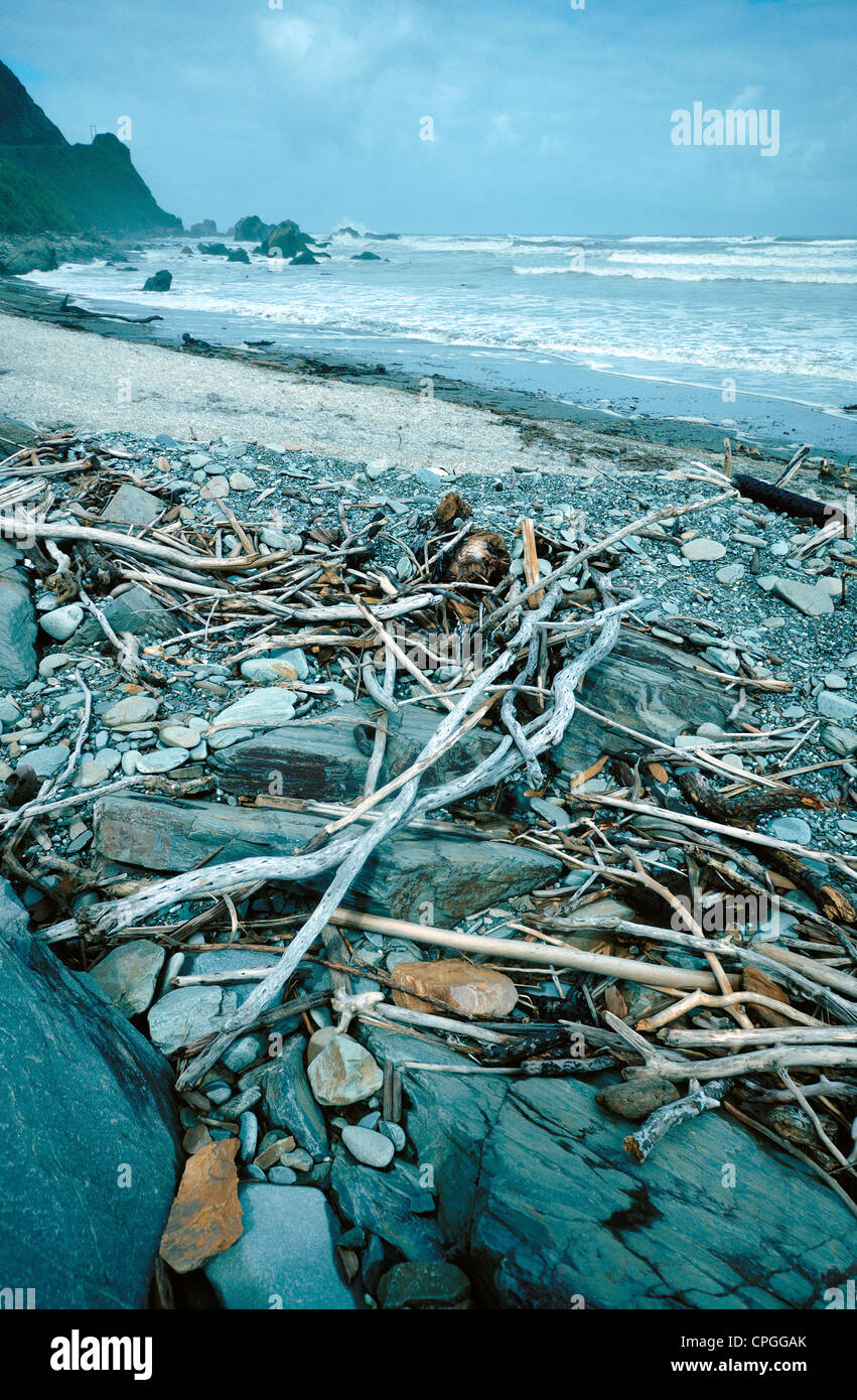 ein Strand an der West Küste Neuseelands, in der Nähe von Punakaiki Stockfoto