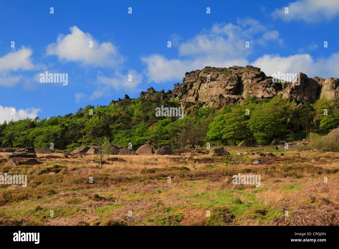 Die Kakerlaken Gritstone Ridge in der Nähe von Lauch, Peak District National Park, Staffordshire, England, UK. Stockfoto